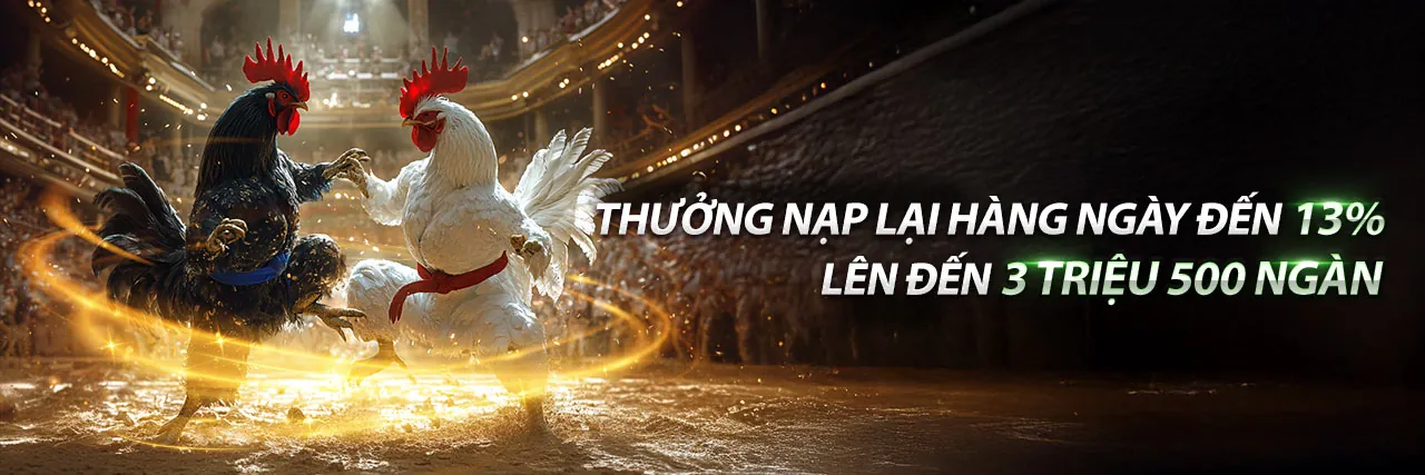 Tổng quan đá gà trực tuyến kc88 chính thức